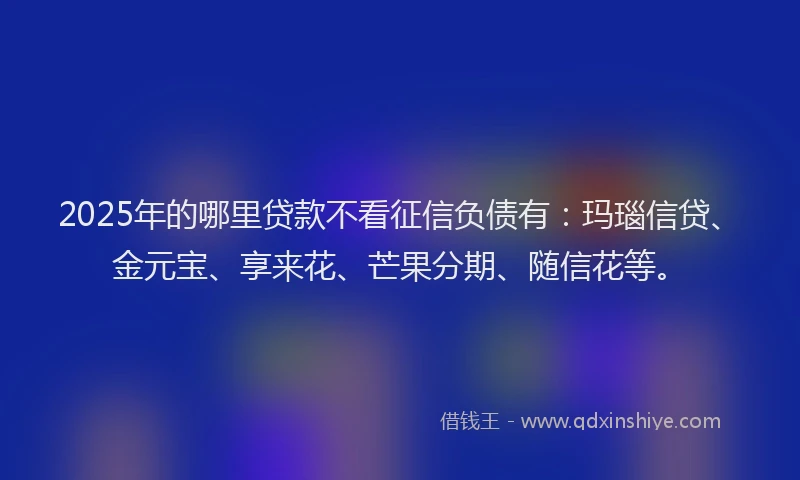 2025年的哪里贷款不看征信负债有：玛瑙信贷、金元宝、享来花、芒果分期、随信花等。