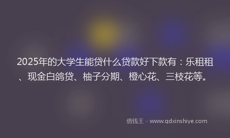 2025年的大学生能贷什么贷款好下款有：乐租租、现金白鸽贷、柚子分期、橙心花、三枝花等。