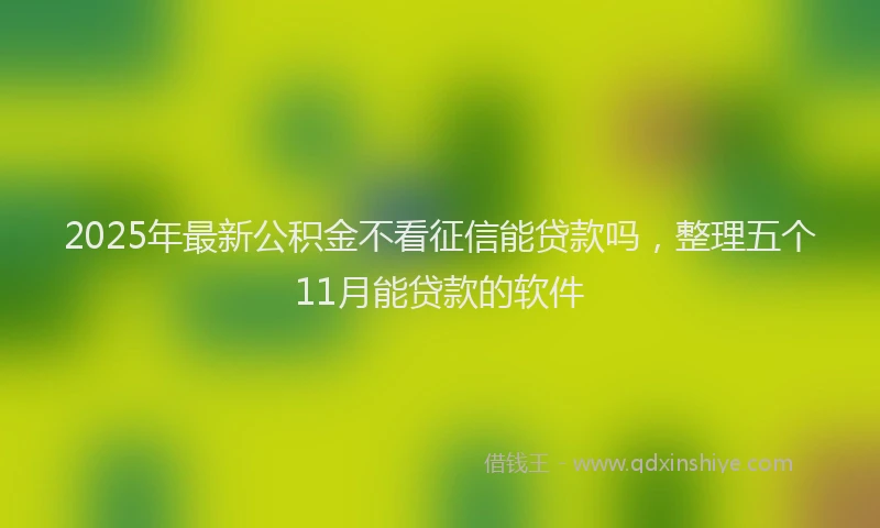 2025年最新公积金不看征信能贷款吗，整理五个11月能贷款的软件
