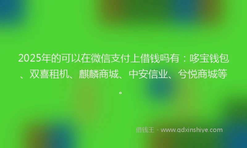 2025年的可以在微信支付上借钱吗有：哆宝钱包、双喜租机、麒麟商城、中安信业、兮悦商城等。