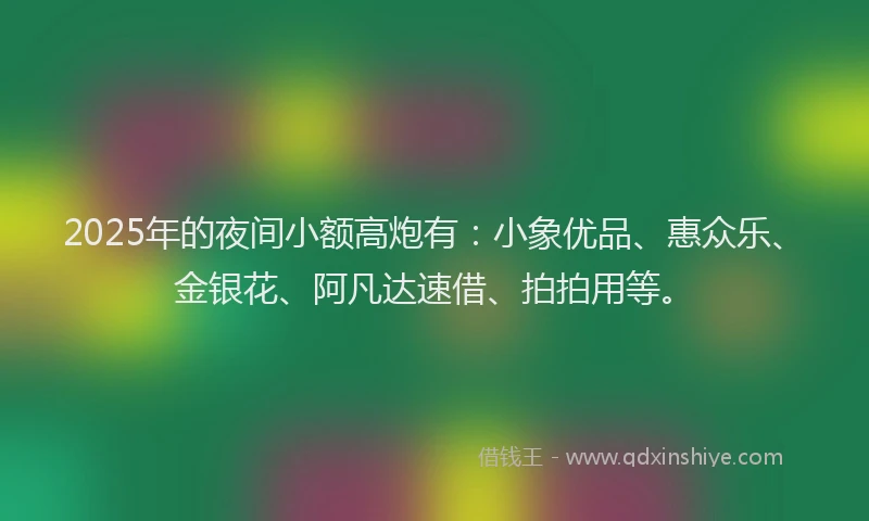 2025年的夜间小额高炮有：小象优品、惠众乐、金银花、阿凡达速借、拍拍用等。