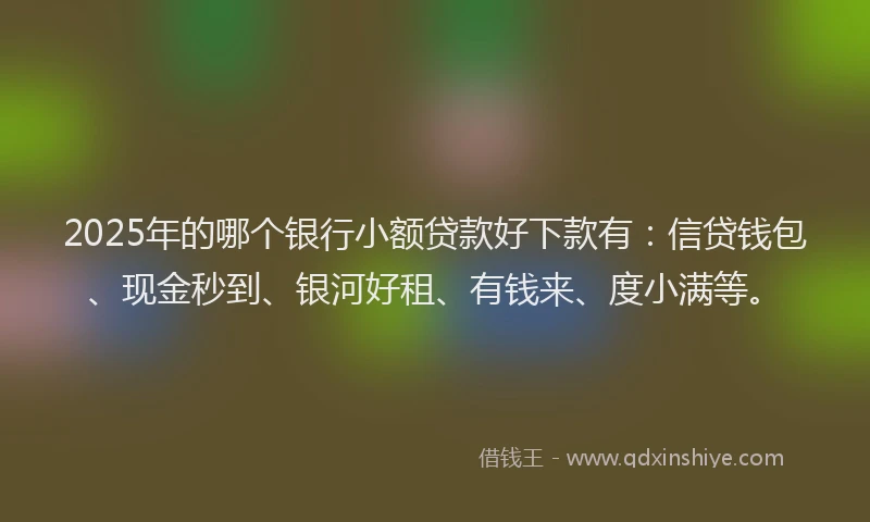 2025年的哪个银行小额贷款好下款有：信贷钱包、现金秒到、银河好租、有钱来、度小满等。