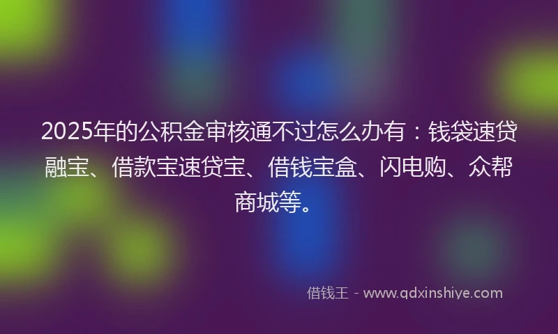 2025年的公积金审核通不过怎么办有：钱袋速贷融宝、借款宝速贷宝、借钱宝盒、闪电购、众帮商城等。