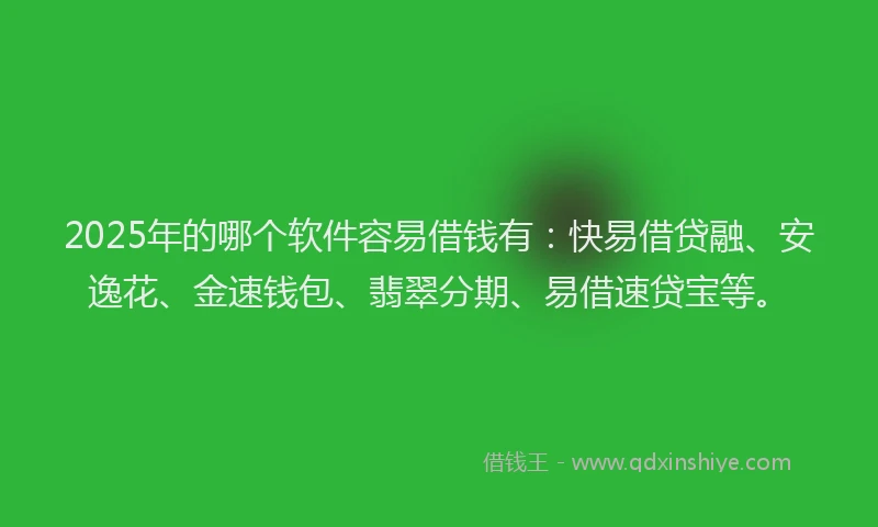 2025年的哪个软件容易借钱有：快易借贷融、安逸花、金速钱包、翡翠分期、易借速贷宝等。
