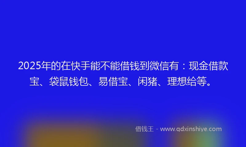 2025年的在快手能不能借钱到微信有：现金借款宝、袋鼠钱包、易借宝、闲猪、理想给等。