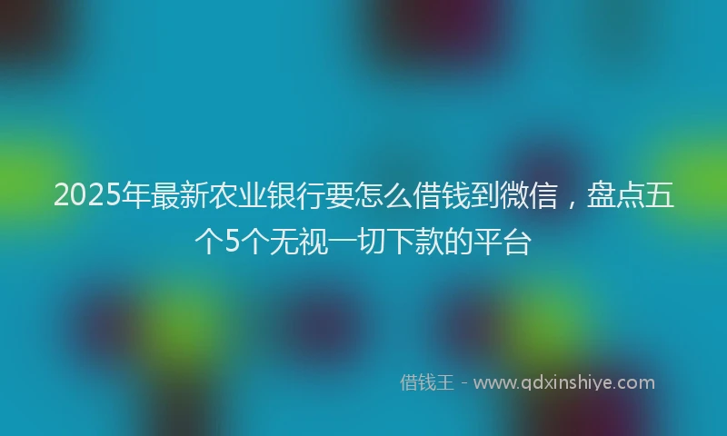 2025年最新农业银行要怎么借钱到微信，盘点五个5个无视一切下款的平台