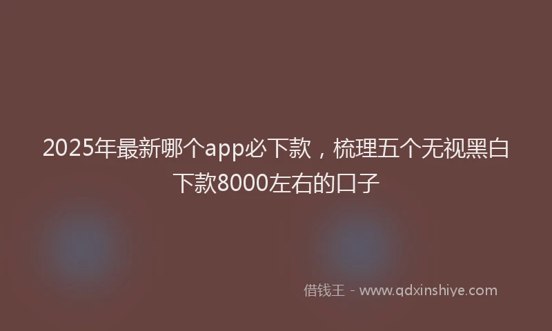 2025年最新哪个app必下款，梳理五个无视黑白下款8000左右的口子