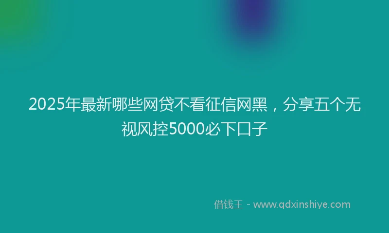 2025年最新哪些网贷不看征信网黑，分享五个无视风控5000必下口子