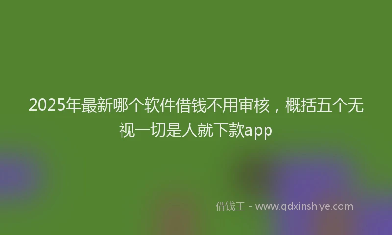 2025年最新哪个软件借钱不用审核，概括五个无视一切是人就下款app