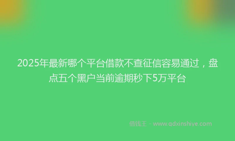 2025年最新哪个平台借款不查征信容易通过，盘点五个黑户当前逾期秒下5万平台