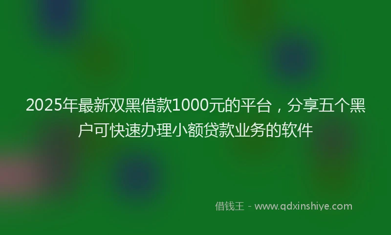2025年最新双黑借款1000元的平台，分享五个黑户可快速办理小额贷款业务的软件