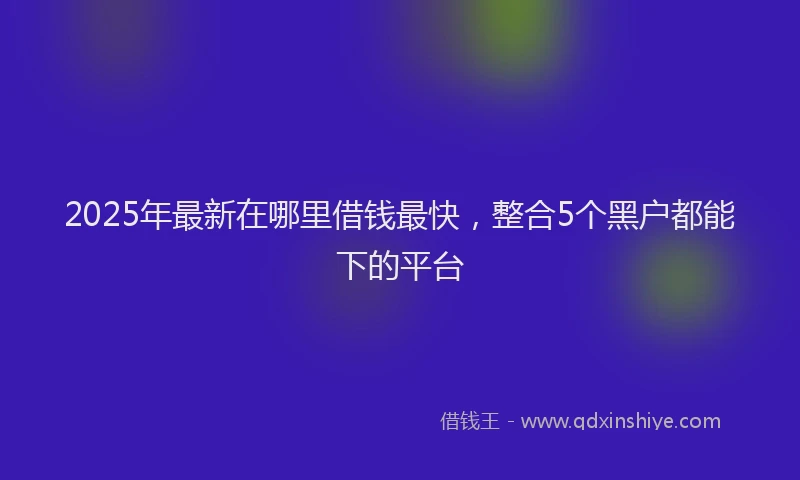 2025年最新在哪里借钱最快，整合5个黑户都能下的平台