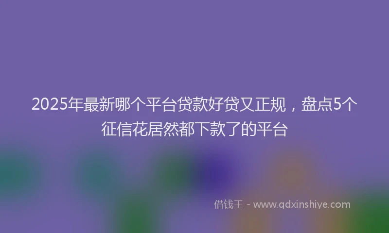 2025年最新哪个平台贷款好贷又正规，盘点5个征信花居然都下款了的平台