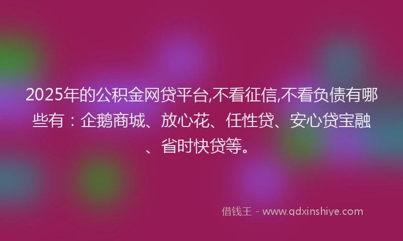 2025年的公积金网贷平台,不看征信,不看负债有哪些有：企鹅商城、放心花、任性贷、安心贷宝融、省时快贷等。