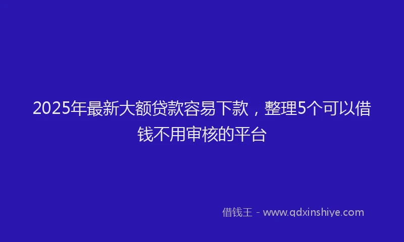 2025年最新大额贷款容易下款，整理5个可以借钱不用审核的平台