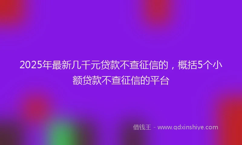 2025年最新几千元贷款不查征信的，概括5个小额贷款不查征信的平台