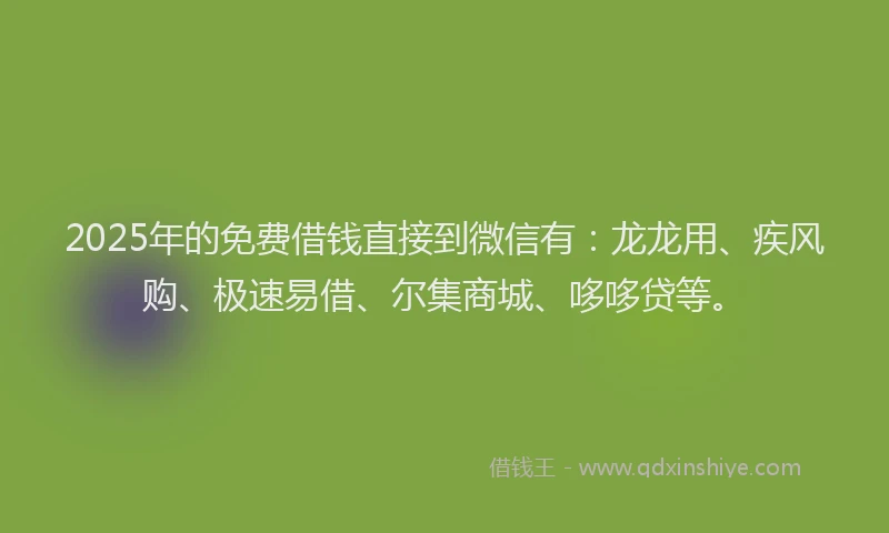 2025年的免费借钱直接到微信有：龙龙用、疾风购、极速易借、尔集商城、哆哆贷等。