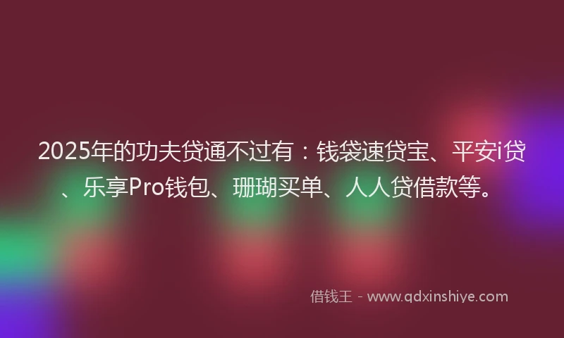 2025年的功夫贷通不过有：钱袋速贷宝、平安i贷、乐享Pro钱包、珊瑚买单、人人贷借款等。