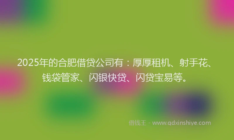 2025年的合肥借贷公司有：厚厚租机、射手花、钱袋管家、闪银快贷、闪贷宝易等。