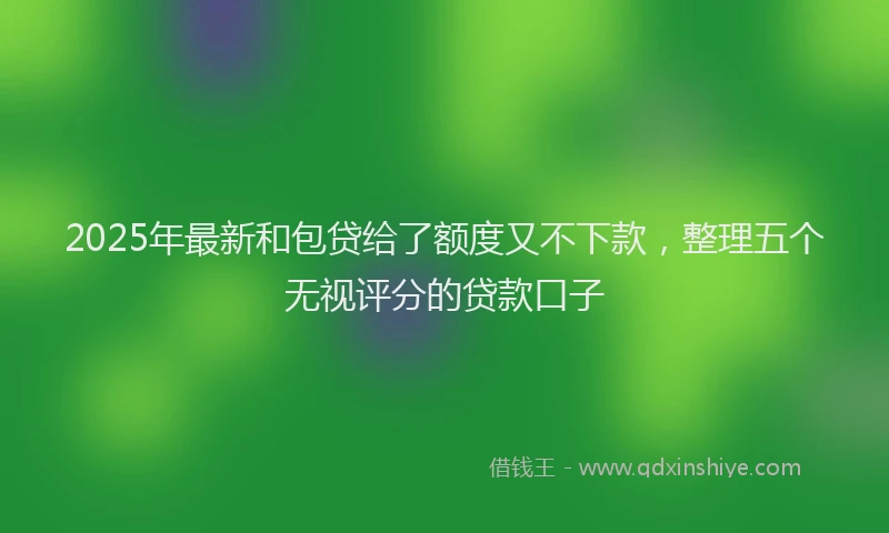 2025年最新和包贷给了额度又不下款，整理五个无视评分的贷款口子
