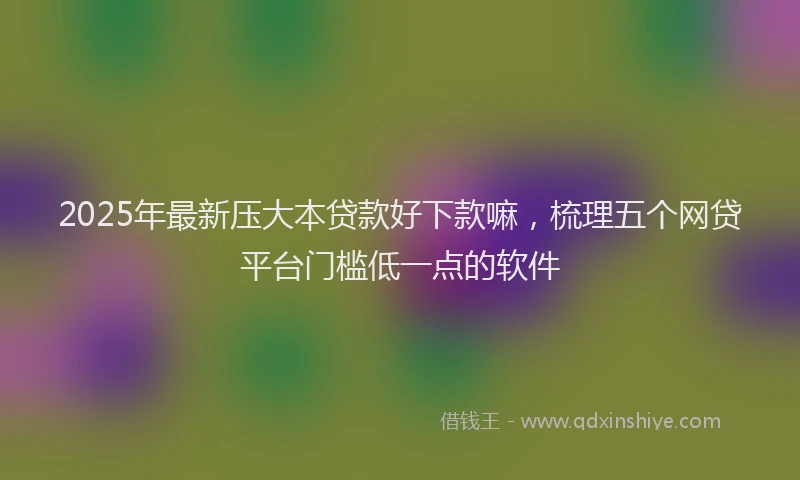 2025年最新压大本贷款好下款嘛，梳理五个网贷平台门槛低一点的软件