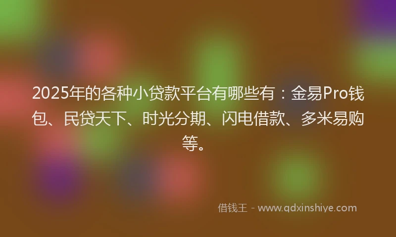 2025年的各种小贷款平台有哪些有：金易Pro钱包、民贷天下、时光分期、闪电借款、多米易购等。