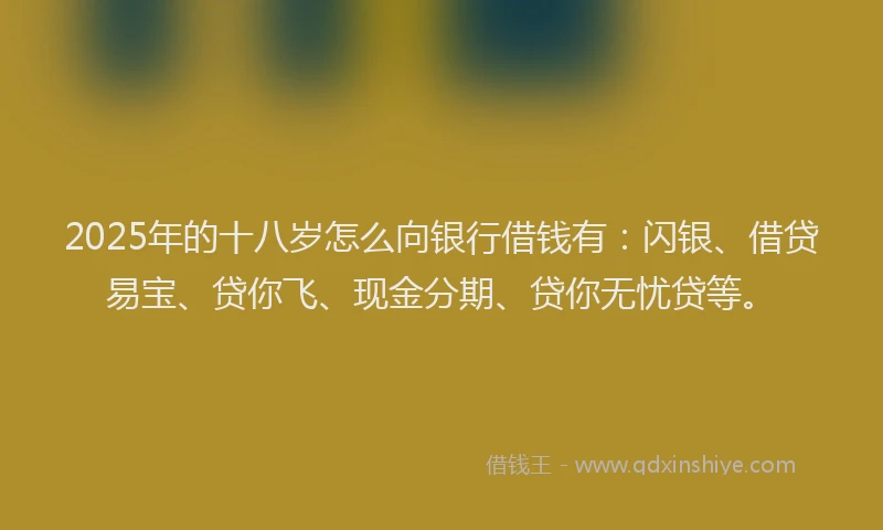 2025年的十八岁怎么向银行借钱有：闪银、借贷易宝、贷你飞、现金分期、贷你无忧贷等。