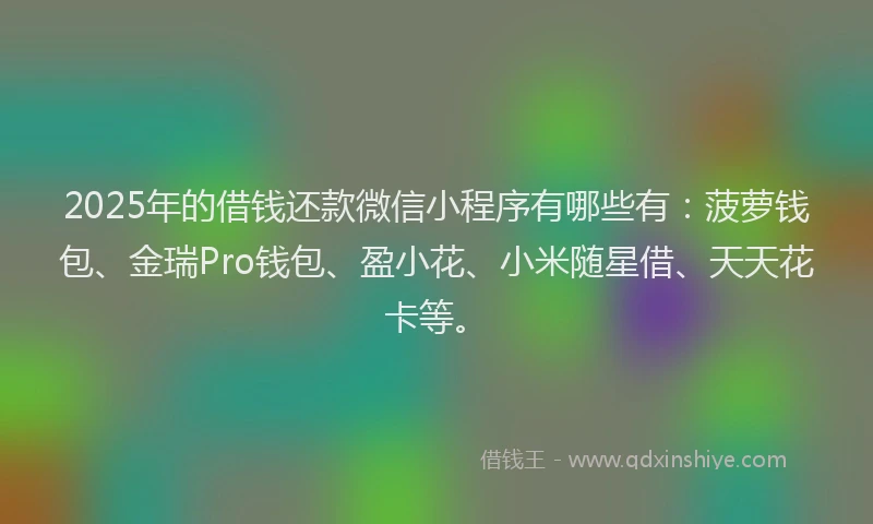 2025年的借钱还款微信小程序有哪些有：菠萝钱包、金瑞Pro钱包、盈小花、小米随星借、天天花卡等。