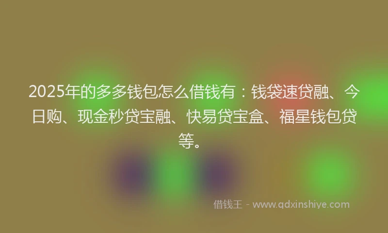 2025年的多多钱包怎么借钱有：钱袋速贷融、今日购、现金秒贷宝融、快易贷宝盒、福星钱包贷等。