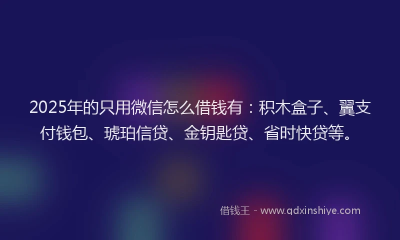 2025年的只用微信怎么借钱有：积木盒子、翼支付钱包、琥珀信贷、金钥匙贷、省时快贷等。