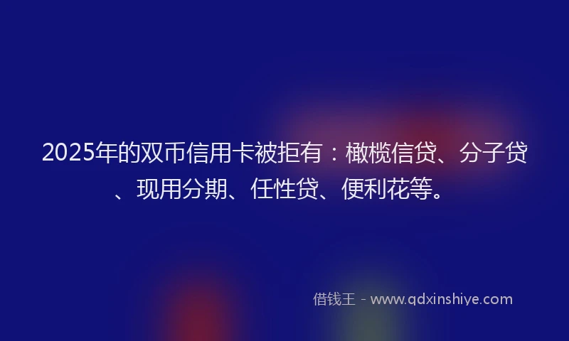 2025年的双币信用卡被拒有：橄榄信贷、分子贷、现用分期、任性贷、便利花等。