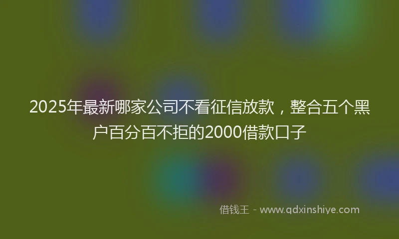 2025年最新哪家公司不看征信放款，整合五个黑户百分百不拒的2000借款口子