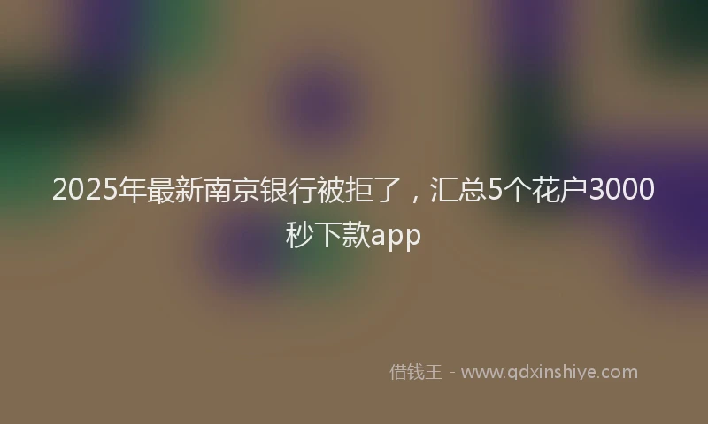 2025年最新南京银行被拒了，汇总5个花户3000秒下款app