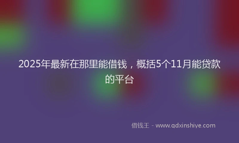 2025年最新在那里能借钱，概括5个11月能贷款的平台