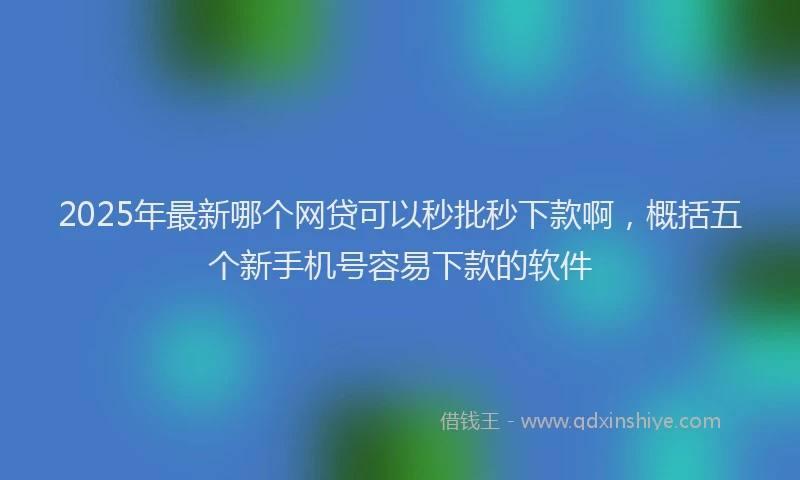 2025年最新哪个网贷可以秒批秒下款啊，概括五个新手机号容易下款的软件