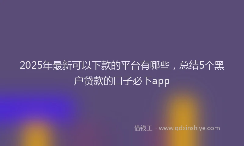 2025年最新可以下款的平台有哪些，总结5个黑户贷款的口子必下app