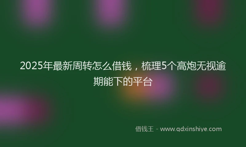 2025年最新周转怎么借钱，梳理5个高炮无视逾期能下的平台