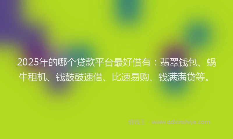 2025年的哪个贷款平台最好借有：翡翠钱包、蜗牛租机、钱鼓鼓速借、比速易购、钱满满贷等。