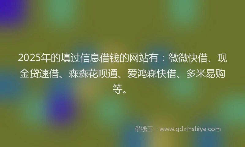 2025年的填过信息借钱的网站有：微微快借、现金贷速借、森森花呗通、爱鸿森快借、多米易购等。