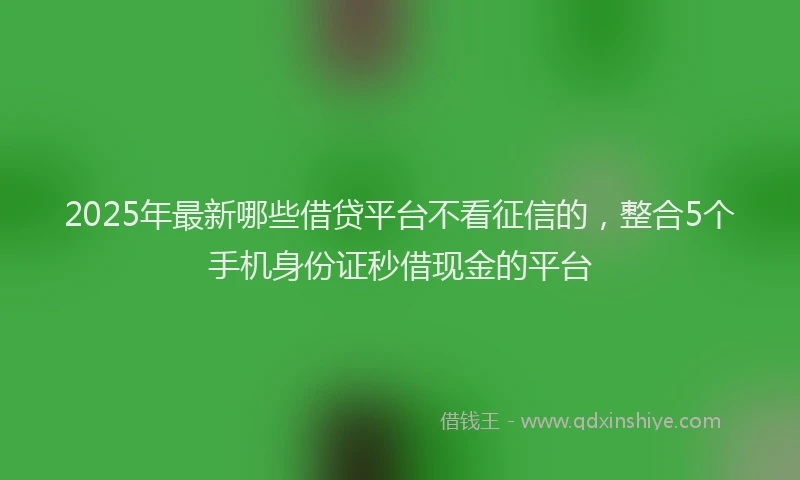 2025年最新哪些借贷平台不看征信的，整合5个手机身份证秒借现金的平台
