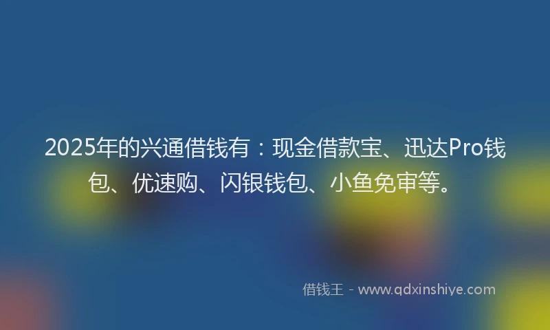 2025年的兴通借钱有：现金借款宝、迅达Pro钱包、优速购、闪银钱包、小鱼免审等。
