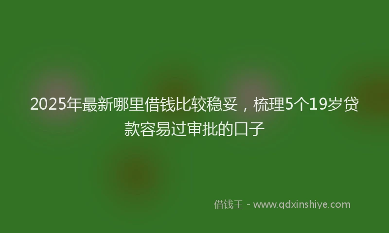 2025年最新哪里借钱比较稳妥，梳理5个19岁贷款容易过审批的口子