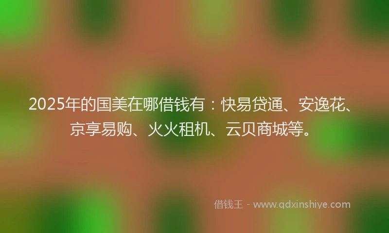 2025年的国美在哪借钱有：快易贷通、安逸花、京享易购、火火租机、云贝商城等。