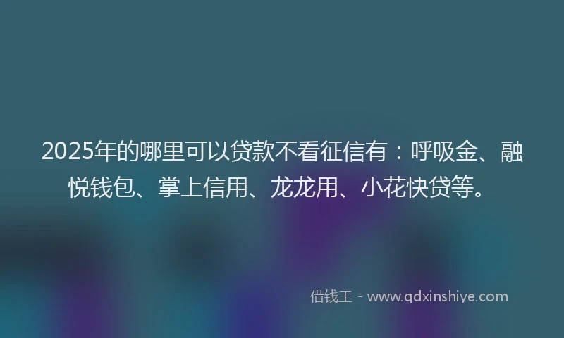 2025年的哪里可以贷款不看征信有：呼吸金、融悦钱包、掌上信用、龙龙用、小花快贷等。