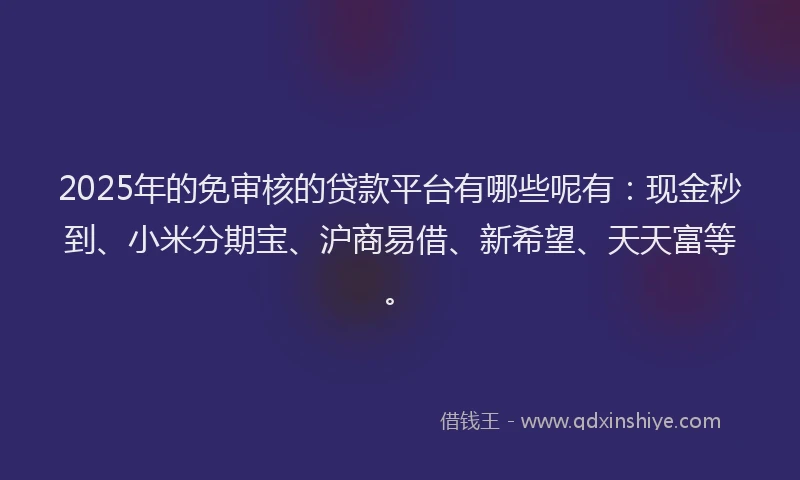 2025年的免审核的贷款平台有哪些呢有：现金秒到、小米分期宝、沪商易借、新希望、天天富等。