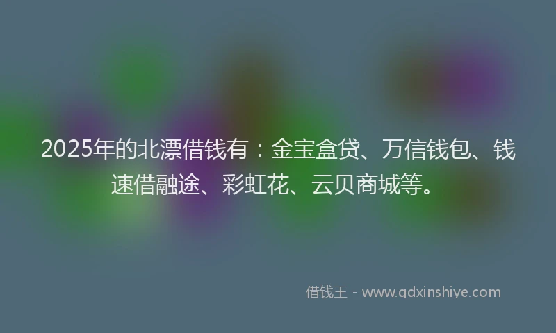 2025年的北漂借钱有：金宝盒贷、万信钱包、钱速借融途、彩虹花、云贝商城等。
