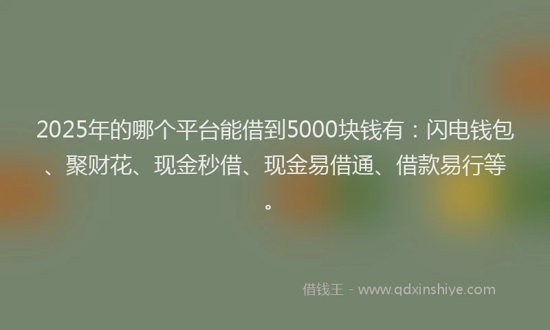 2025年的哪个平台能借到5000块钱有：闪电钱包、聚财花、现金秒借、现金易借通、借款易行等。