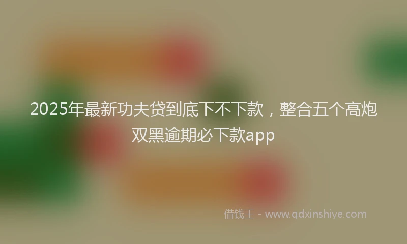 2025年最新功夫贷到底下不下款，整合五个高炮双黑逾期必下款app
