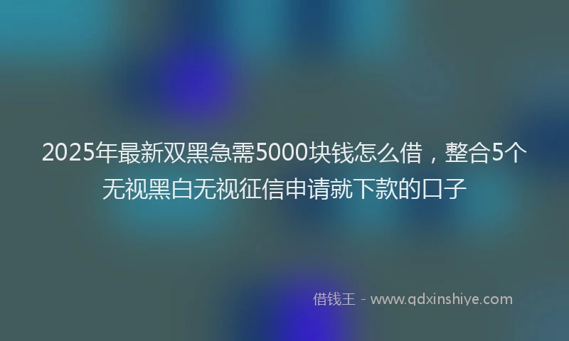2025年最新双黑急需5000块钱怎么借，整合5个无视黑白无视征信申请就下款的口子