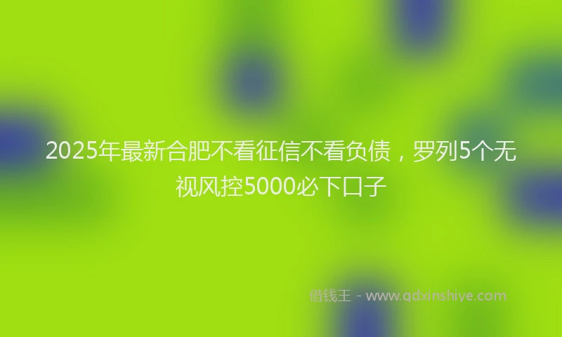 2025年最新合肥不看征信不看负债，罗列5个无视风控5000必下口子